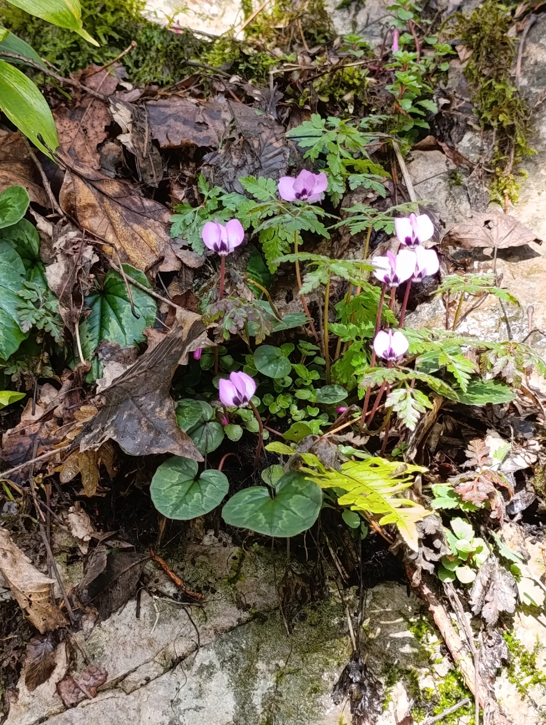 Этот день был просто потрясающим! Мы отправились в увлекательное путешествие по Сочи, которое стало настоящим приключением.
