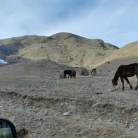 Фото отзыва 3: экскурсия "Биосферный заповедник Чункурчак и его окрестности"