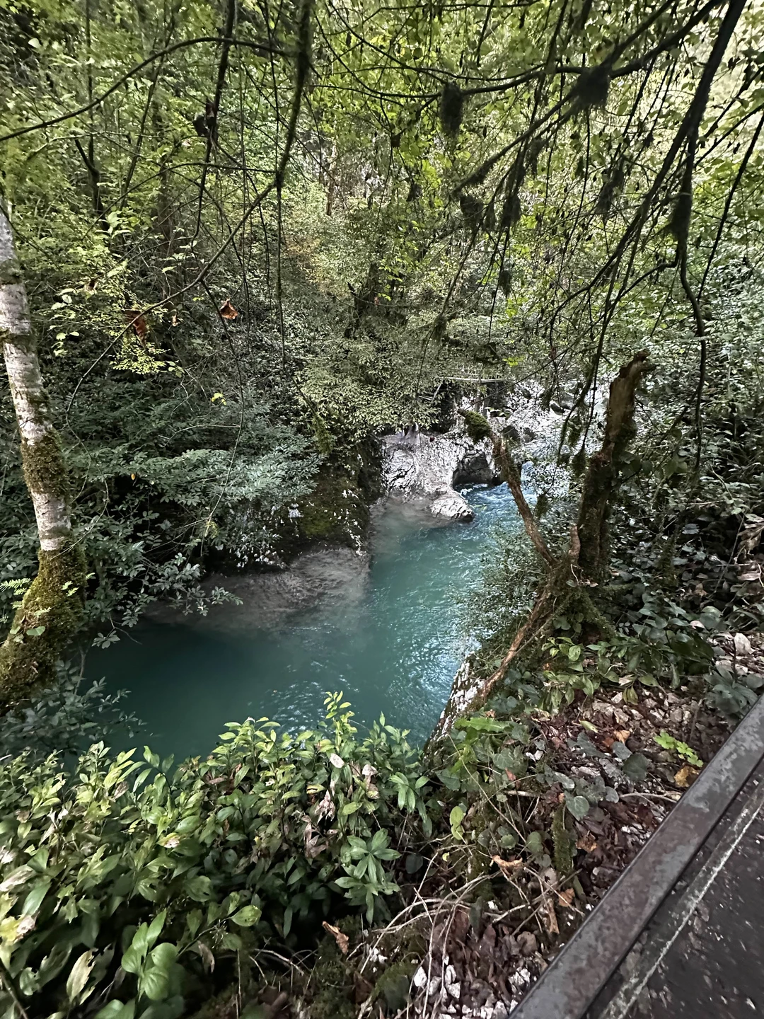 Очень рекомендую данные места к посещению и организатора, днем написала вечером уже приехали за нами на