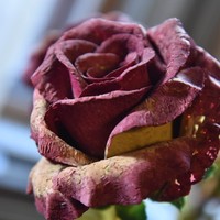 reviews img