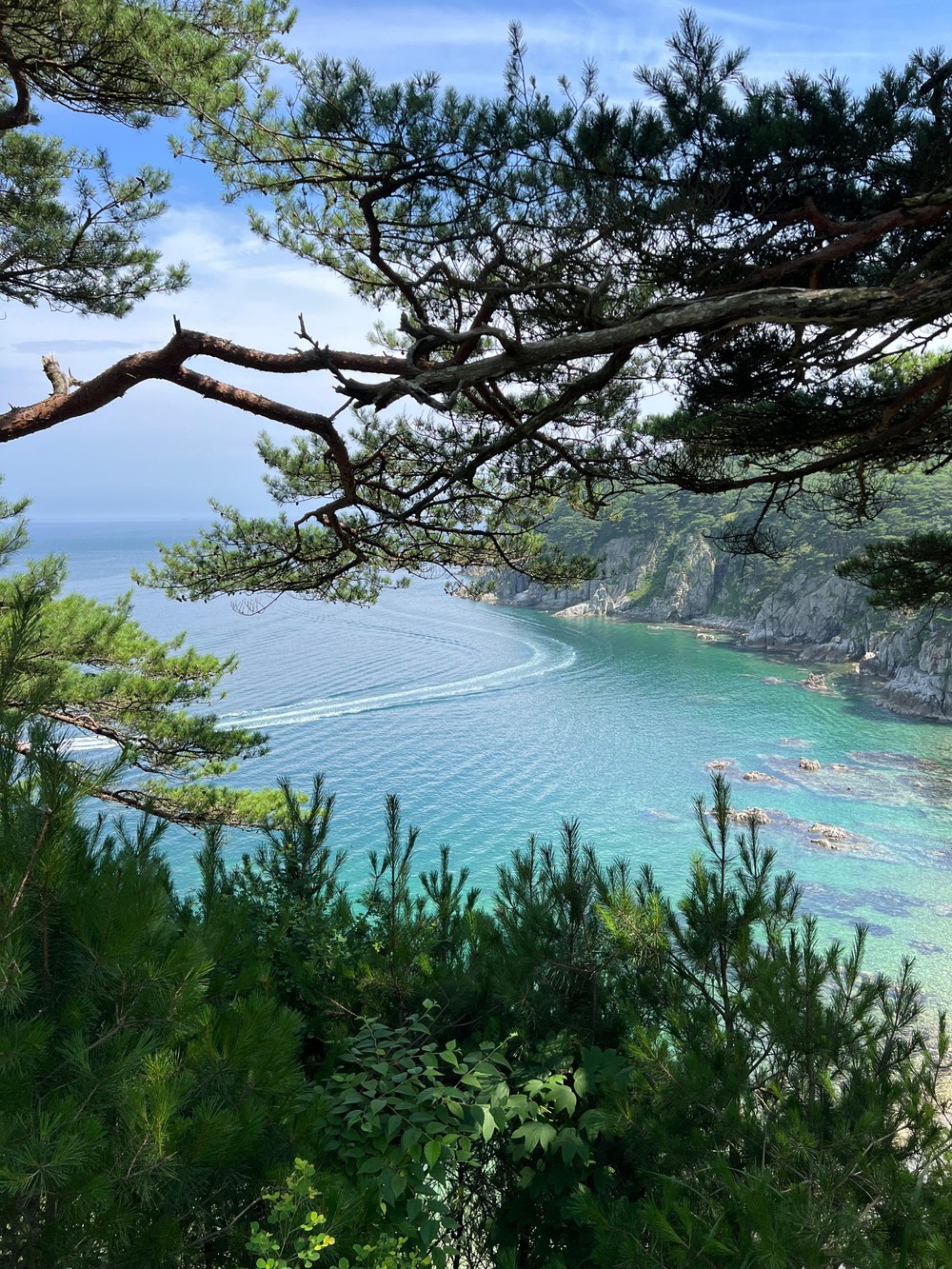 Бухты южного Приморья и парк «Белый лев» — из Владивостока (13/20)