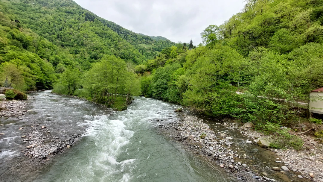 Все прошло замечательно. Вся семья осталась в восторге! Спасибо Алексею за классно проведённый день. 👍