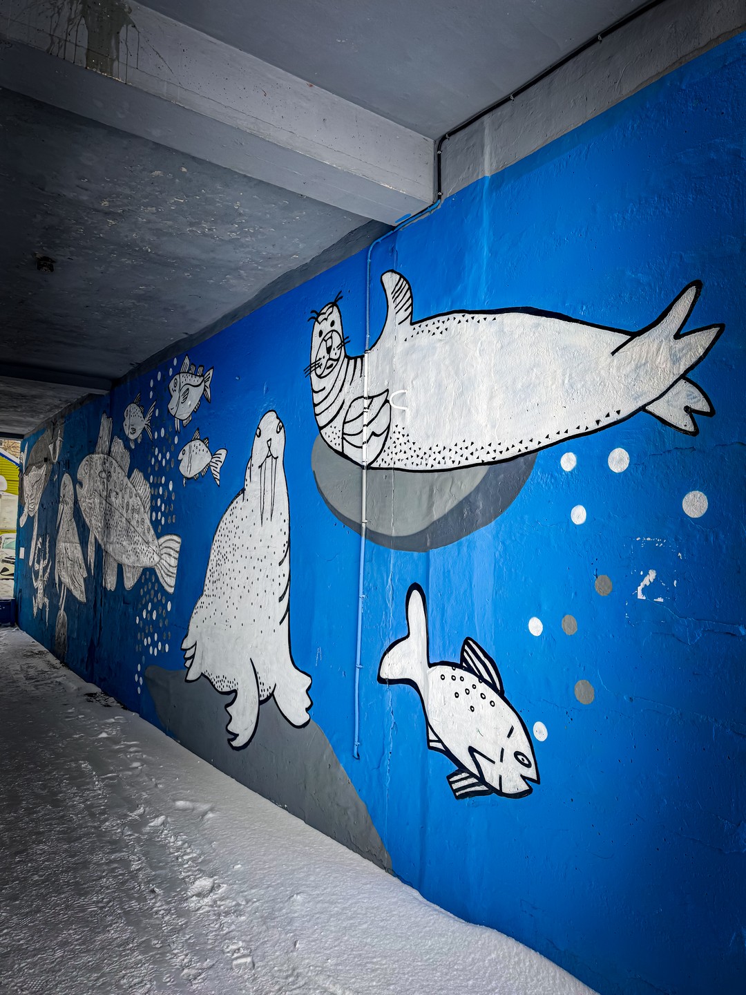 Анастасия, еще раз хочу поблагодарить за веселую и познавательную историю и красоту Вашего края в красках