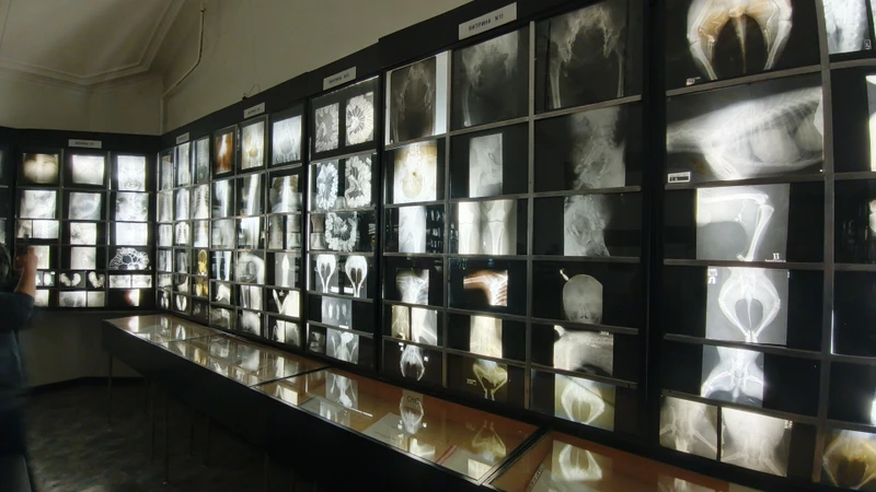 Спасибо экскурсоводу, она очаровательна, очень интересно рассказала всё, эта экскурсия стала самым ярким впечатлением от поездки в СПб