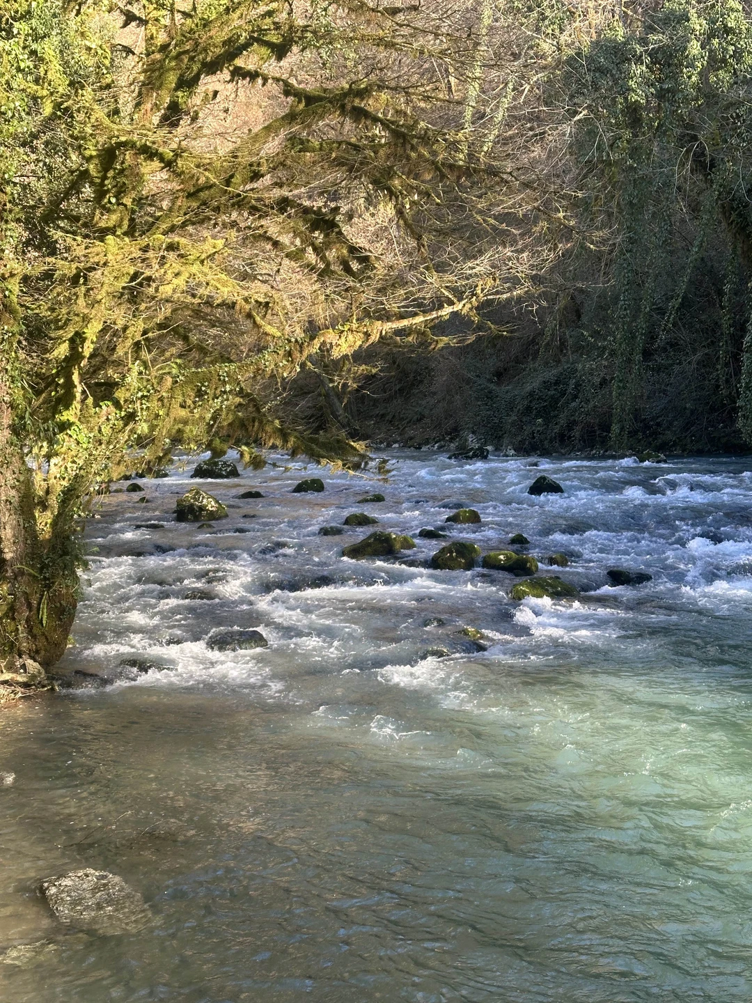 Отличное путешествие! Спасибо Владу за комфортное передвижение, интересный рассказ, индивидуальный подход! Все прошло легко, интересно, чудесно!