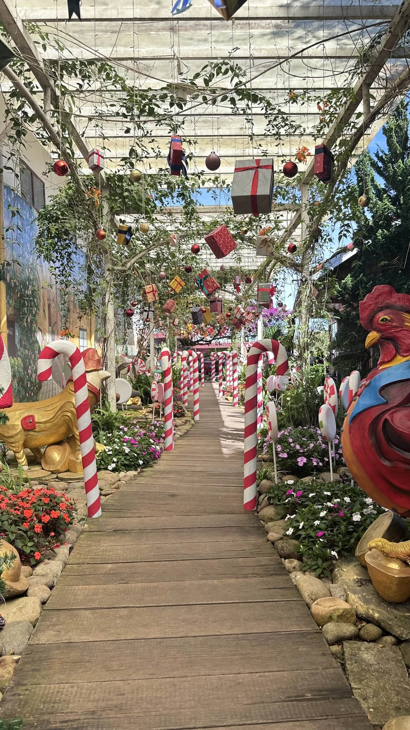 С Диной мы провели вместе целый день и на протяжении всего нашего путешествия не было скучно