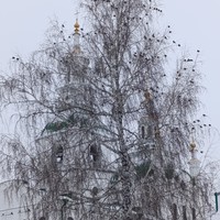 Фото отзыва 5: экскурсия ""