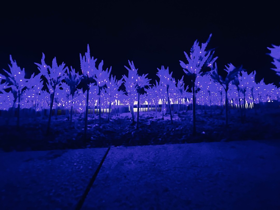 Андрей классный! Нам все понравилось!!!