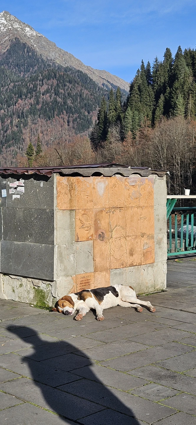 Когда у тебя нет связи (а ее нет))) важно на что-то отвлекаться, как ребёнку. В этом