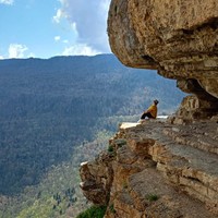 Фото отзыва 1: экскурсия "Орлиная полка, Курджипс, ущелье Гуамки и термальные источники"
