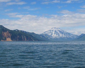 Продолжаем рыбачить и наслаждаться морскими деликатесами