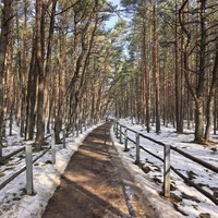 Фото отзыва 1: экскурсия ""