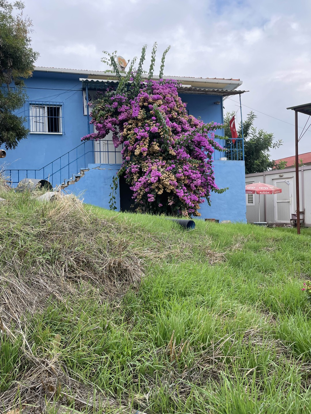 Брали квест на день рождения 14 летнего подростка (еще двое 11-летних, один 7-летний и четверо взрослых).