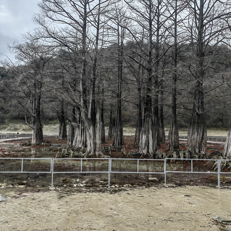 Очень познавательная и интересная экскурсия, большое спасибо гиду