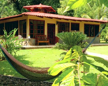 День трансфера