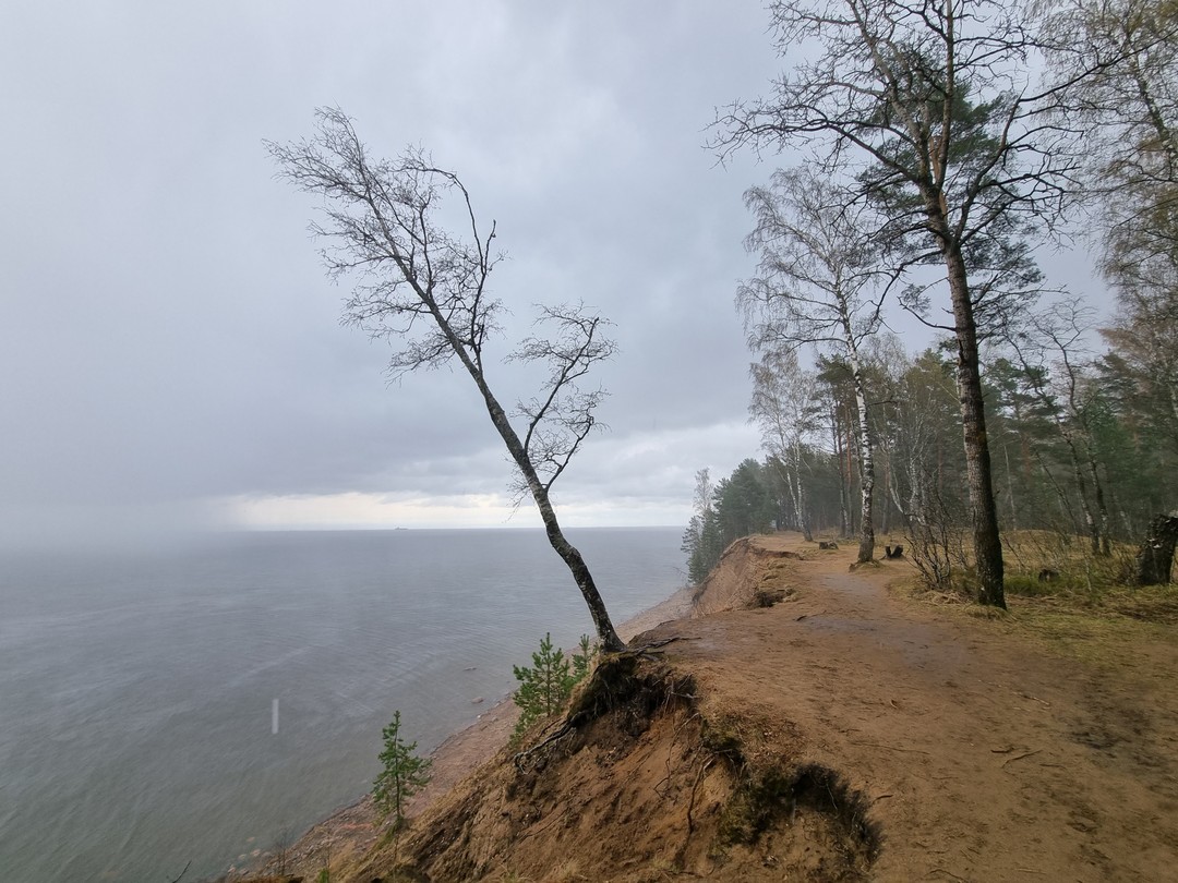 Отличный маршрут, отличный рассказчик экскурсовод по маршруту и в музее маячной службы, замечательные виды, которые не испортил дождь.