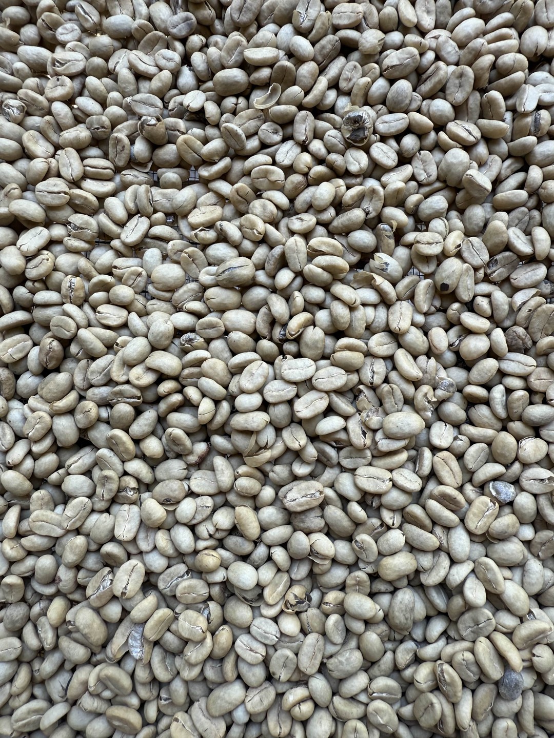 Экскурсию сопровождал гид Коко. Замечательный человек! С ним было максимально комфортно и интересно. Время посещения всех