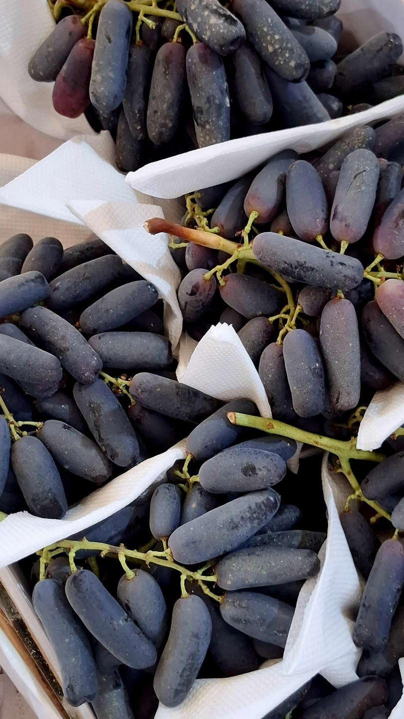 Восточное трио: Ташкент, Самарканд и Бухара за 5 дней (Юлия)