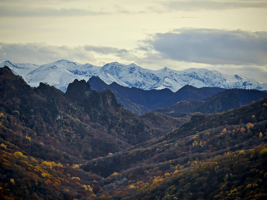 Отличная экскурсия на Домбай. Гид Иван был четок и пунктуален, четко обозначал временные рамки, заданные на
