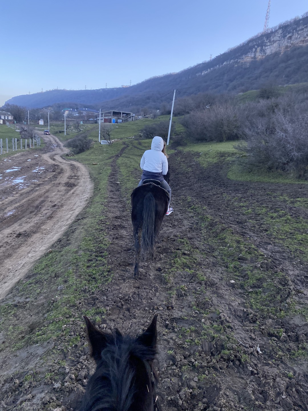 Прогулка прошла на высшем уровне
