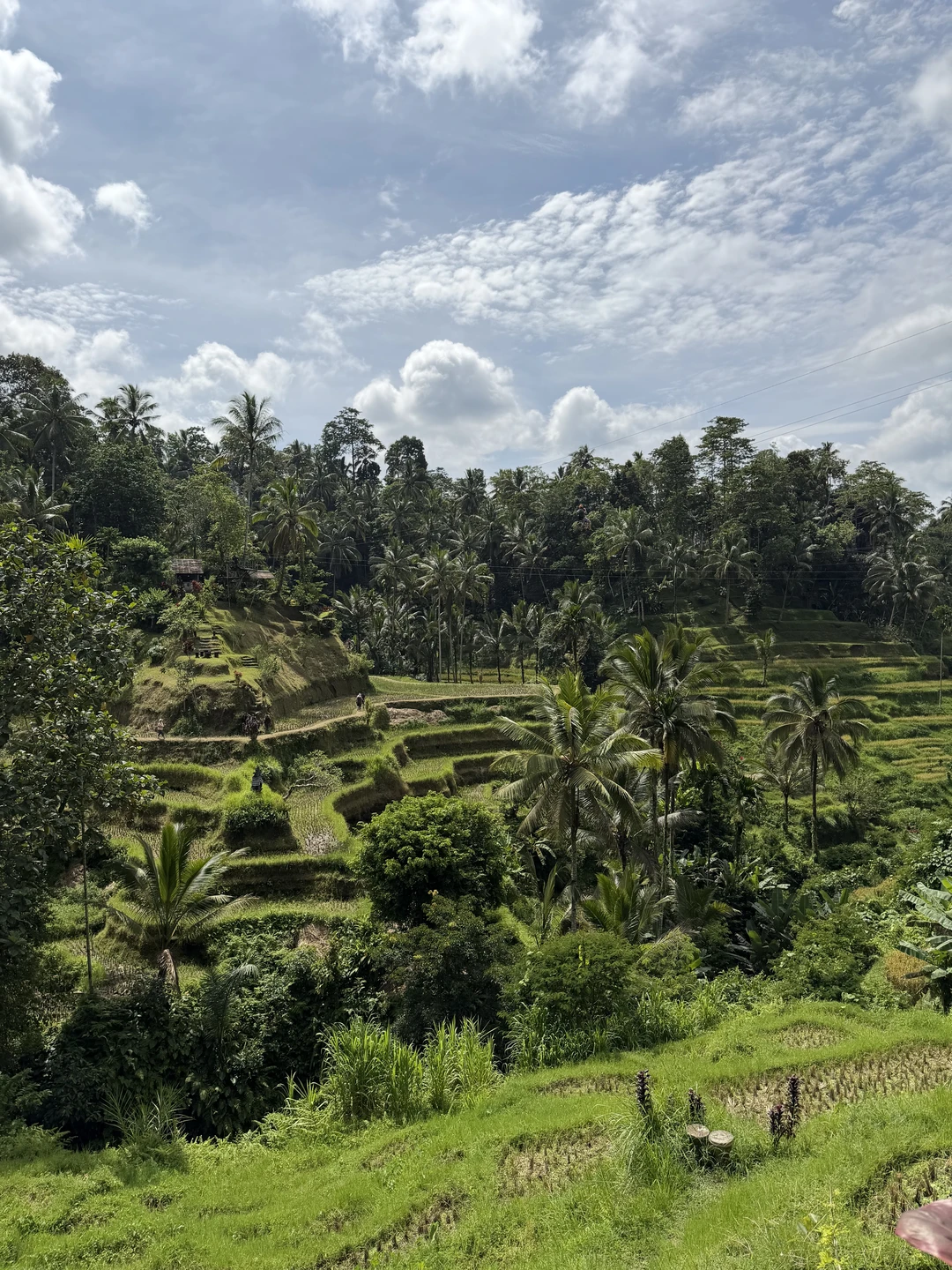 Были с мужем вдвоем. Экскурсия очень понравилось! Гид тоже. Очень интересно рассказывал про традиции Бали и
