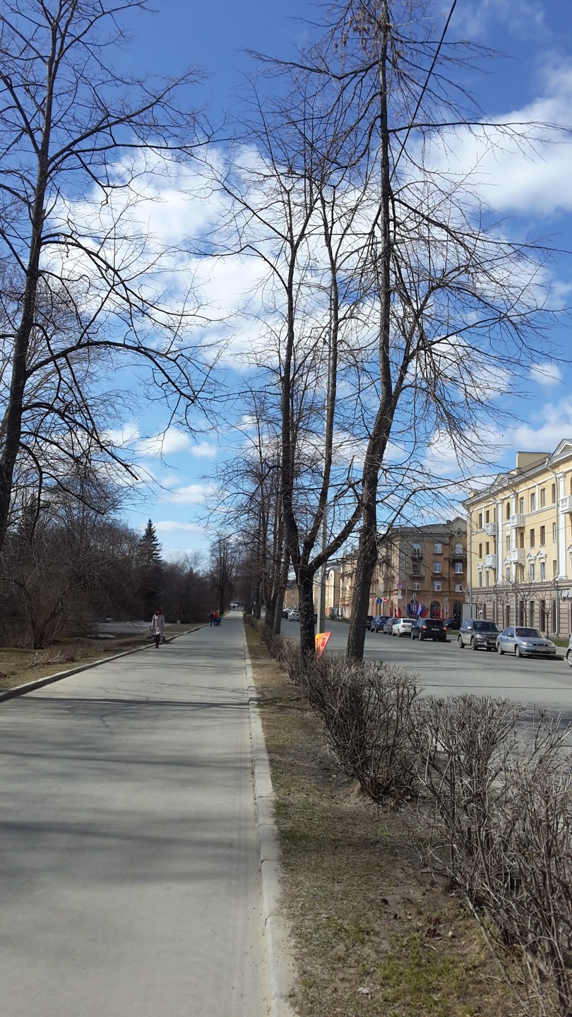 Душевная прогулка по Петрозаводску (Галина)