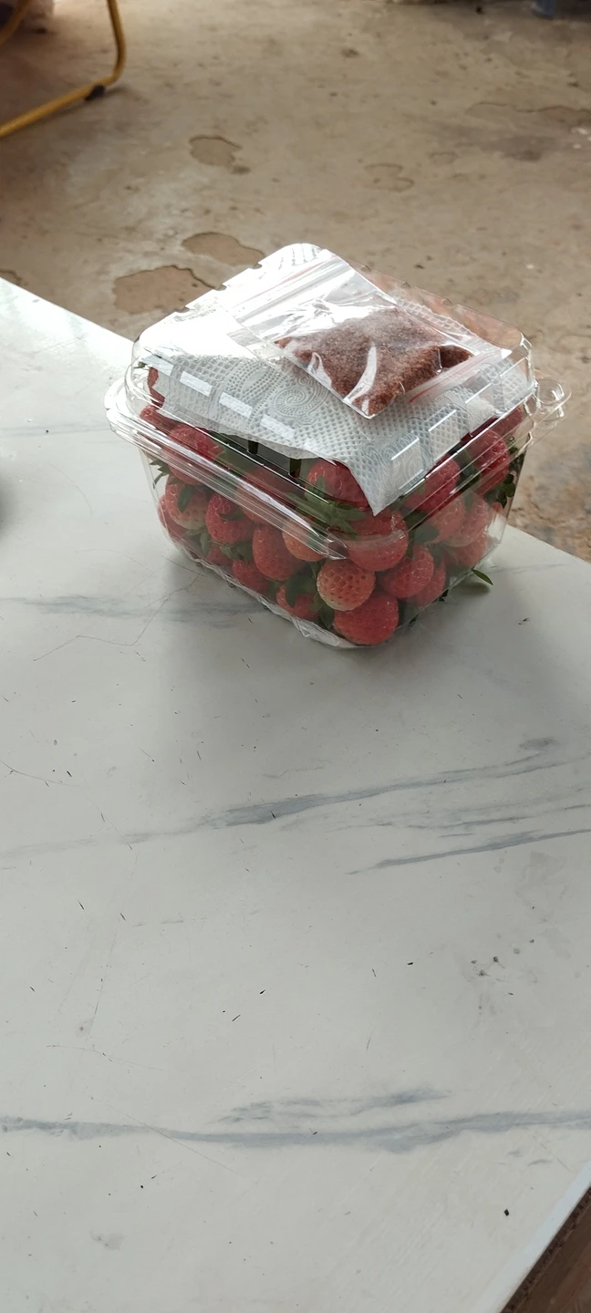 Групповая экскурсия из Нячанга в Далат (Арина)