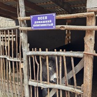 Фото отзыва 4: экскурсия ""