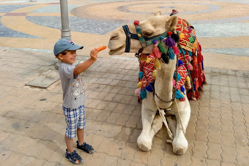 Хургада детям