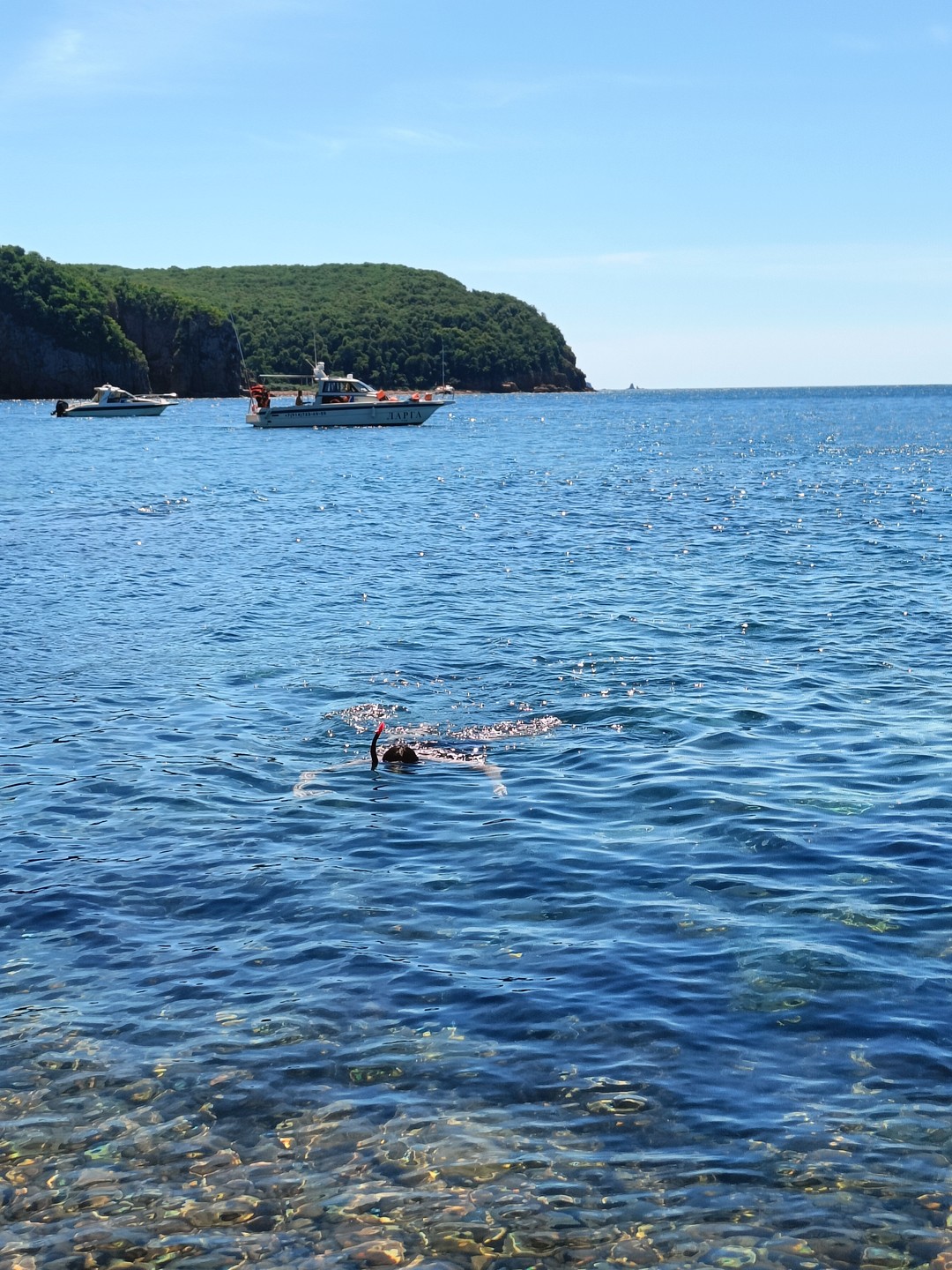 Морское приключение во Владивостоке: мыс Тобизина, котики и морепродукты (Екатерина)