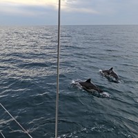 Фото отзыва 1: экскурсия ""