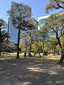 Фото отзыва 1: экскурсия "Обзорная экскурсия по знаковым местам яркого Токио"