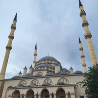 reviews img