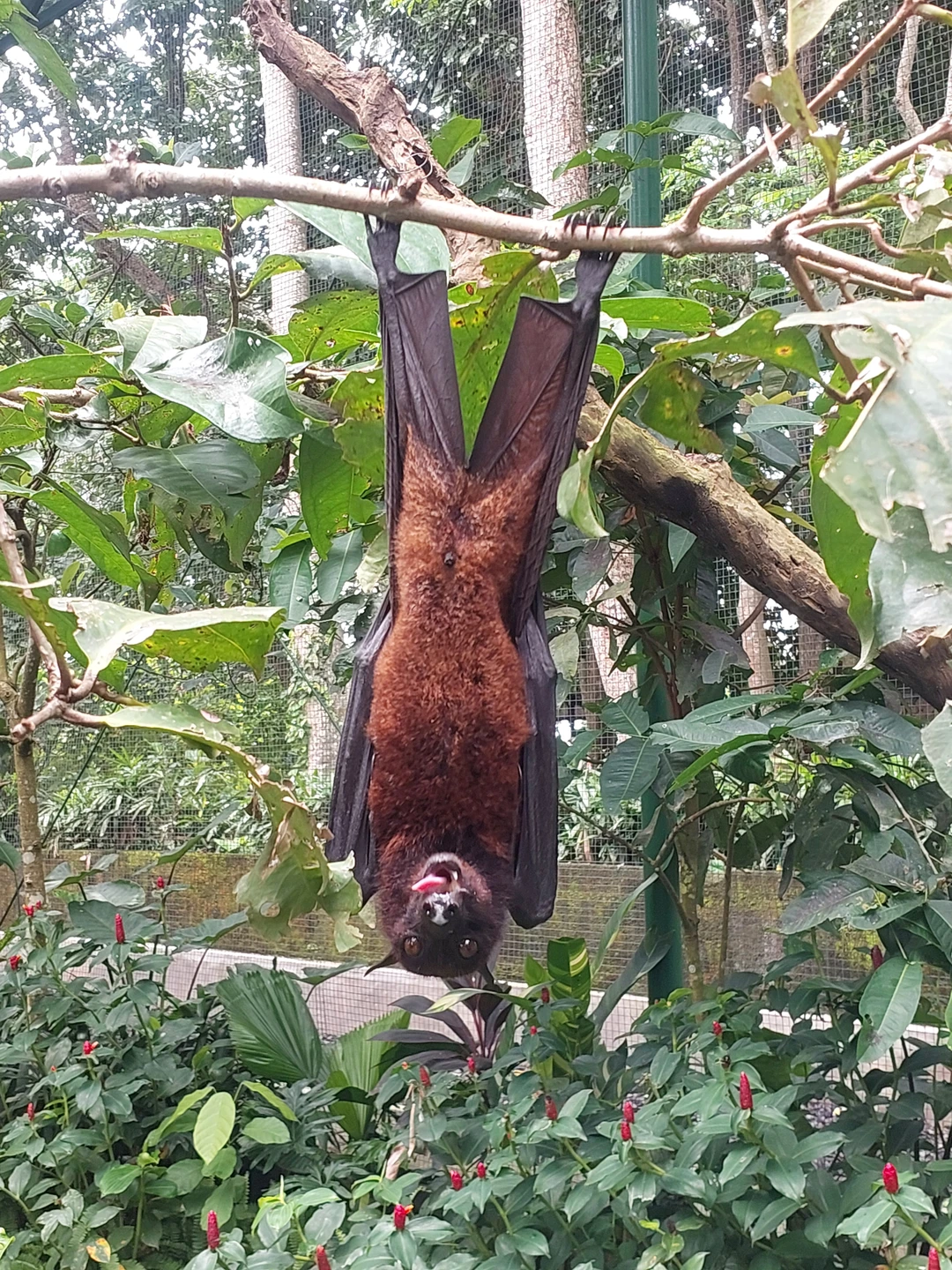 Экскурсия с душой, Роми очень душевный и смешной гид