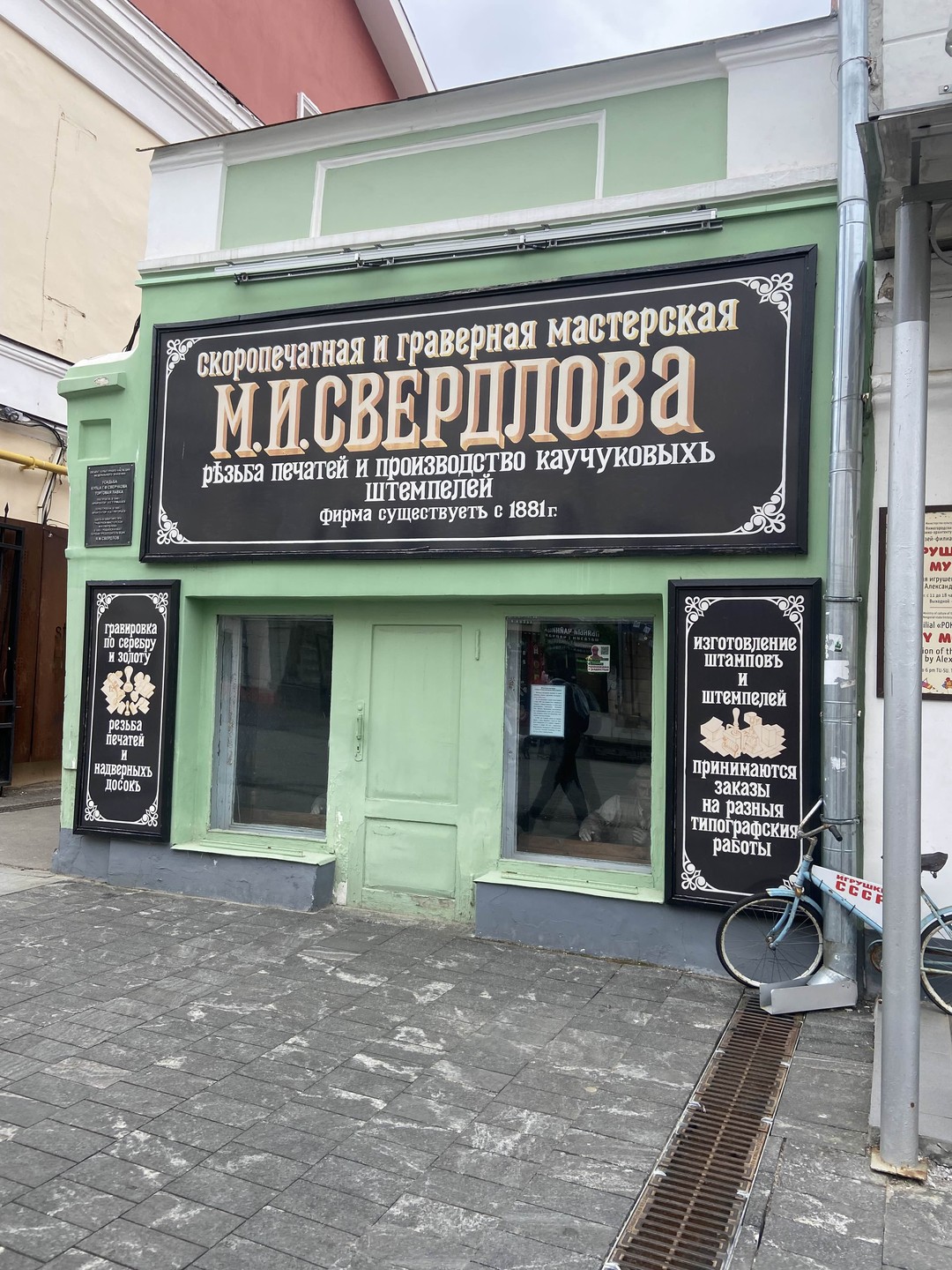 Усатый-полосатый Нижний Новгород (Елена)
