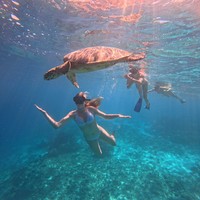 Фото отзыва 4: экскурсия "Морская прогулка на частной лодке по островам Гили + снорклинг с черепахами"