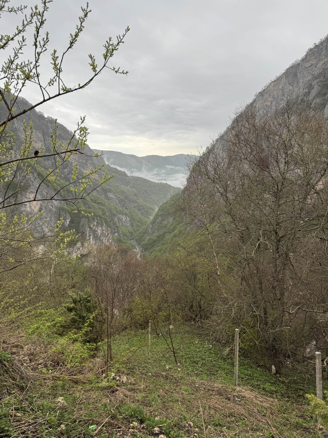 Самая чудесная экскурсия из всех где мы были с лучшим гидом Барсом😍 были еще в мае