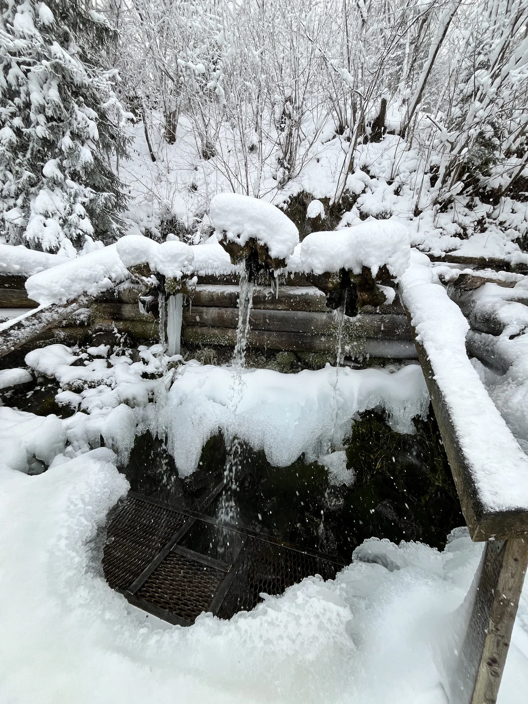 Пунктуальность, интеллект, обаяние, глубокие знания - эти качества отличают Сергея. В указанное время за нами заехал