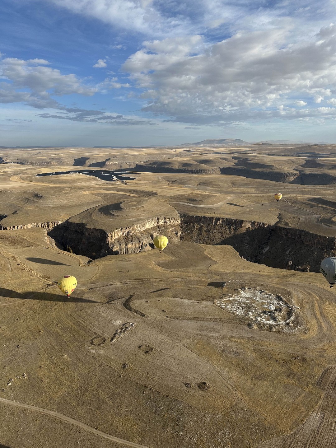 Добрый день🌹