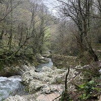 Фото отзыва 3: экскурсия "День отдыха в Абхазии: природа, дегустации, термальные источники"
