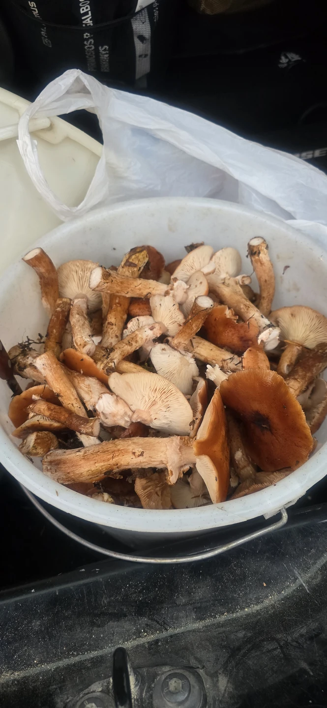 Было супер интересно и увлекательно! Катя профи в своем деле, делилась с охотой своими знаниями, знает