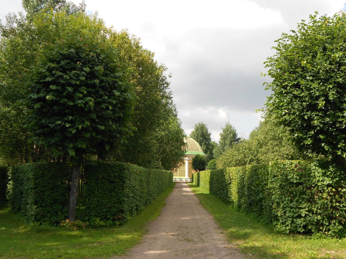 «Кусково — милый уголок» (10/10)