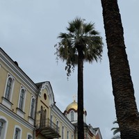 reviews img