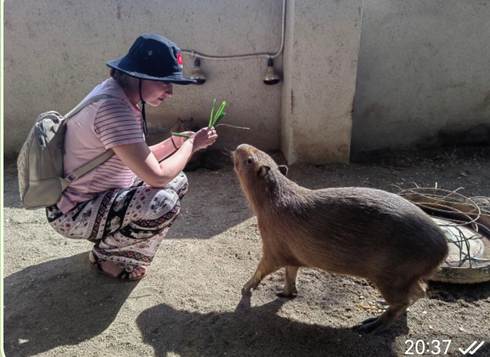 Далат на максимум (из Нячанга) (Наталья)