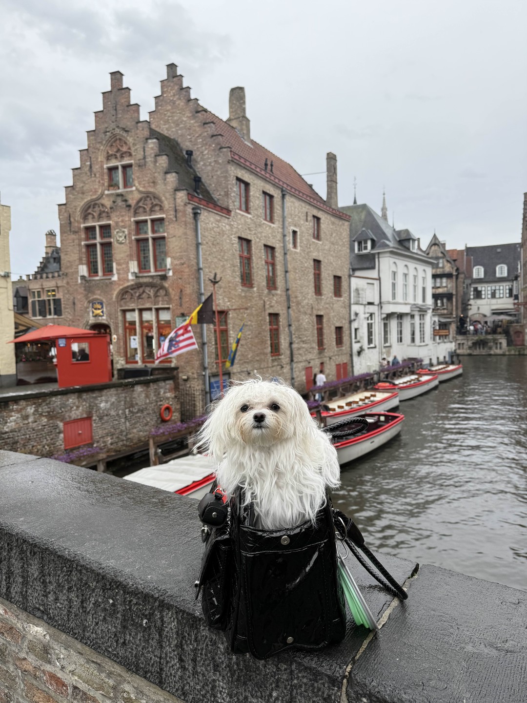 Отличная экскурсия в действительно сказочный Брюгге! Владимир оказался не просто водителем-сопровождающим, но и отличным экскурсоводом, который