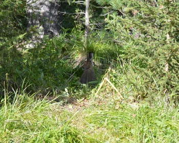 Поход к озеру Поперечное (26 км)