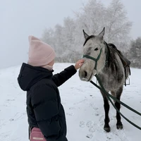 Фото отзыва 1: экскурсия "Верхом вдоль Берёзового ущелья"