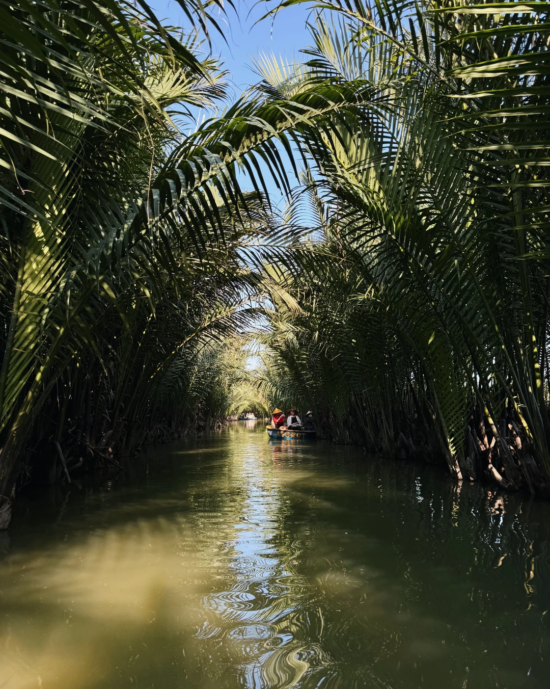 Во-первых, я рекомендую всем непременно побывать в этом невероятном городе — максимально аутентичном Хойане! Тут и