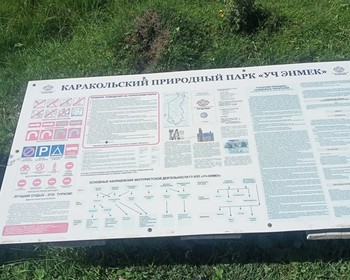 Село Сростки, возвращение в Новосибирск
