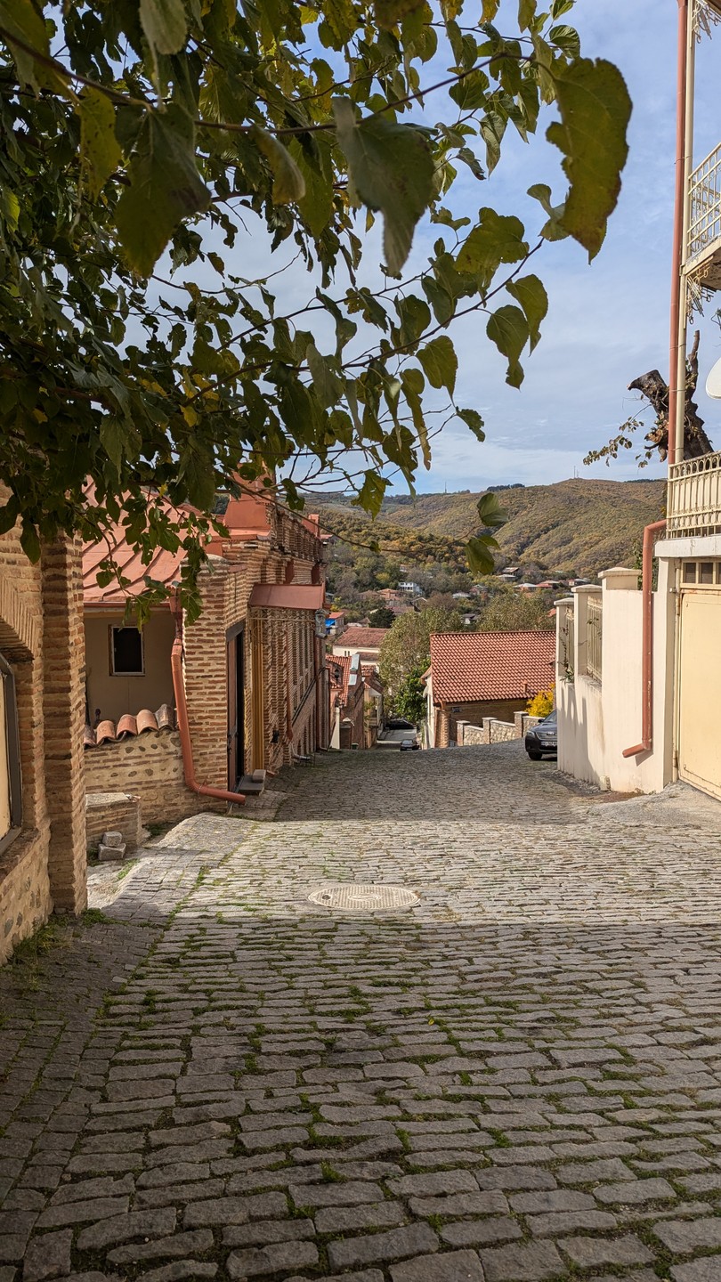 Кахетия - песнь солнца, гор и виноградной лозы (Светлана)